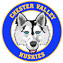 Chester Valley Elementary Fixed Header logo
